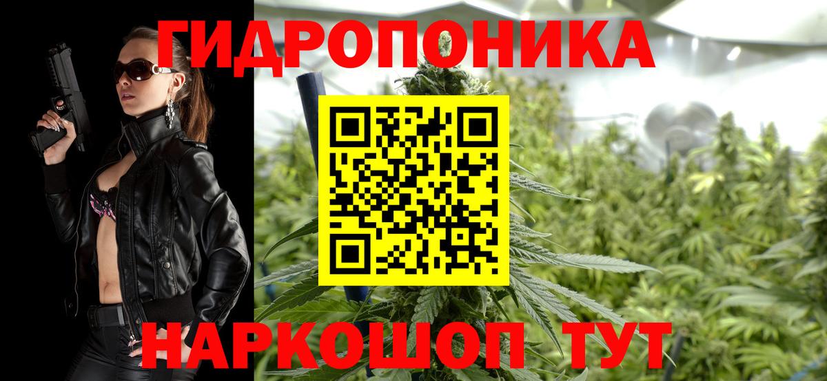 Бошки марихуана планчик Волгоград