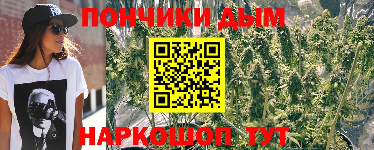 Волгоград  МАРИХУАНА тримм  Вход с VPN  МАРИХУАНА план 
